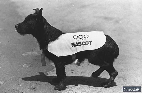 Olympic dog