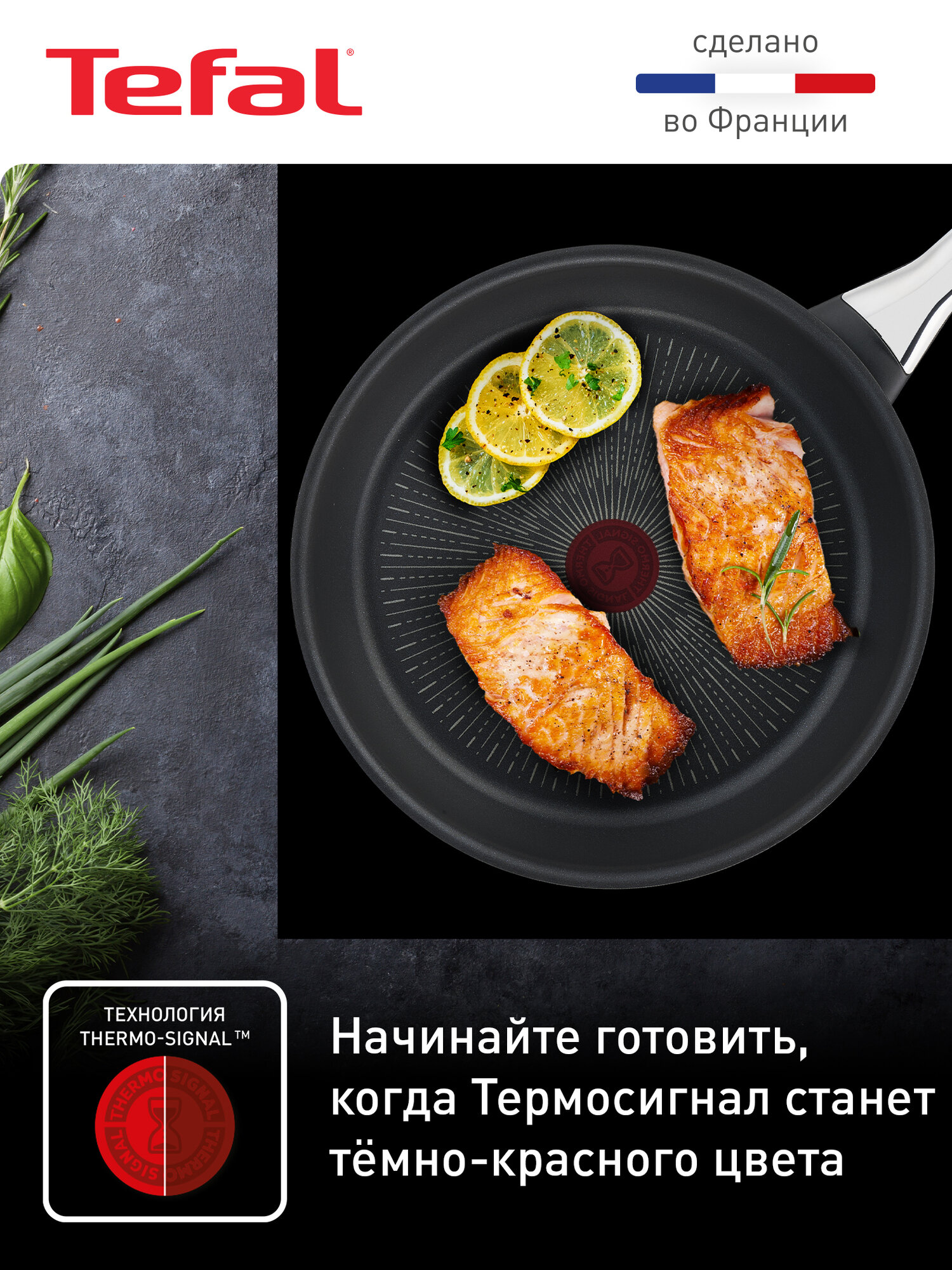 Сковорода Tefal Excellence 26 см, с индикатором температуры, глубокая, для всех типов плит, сделано во Франции — фото 2