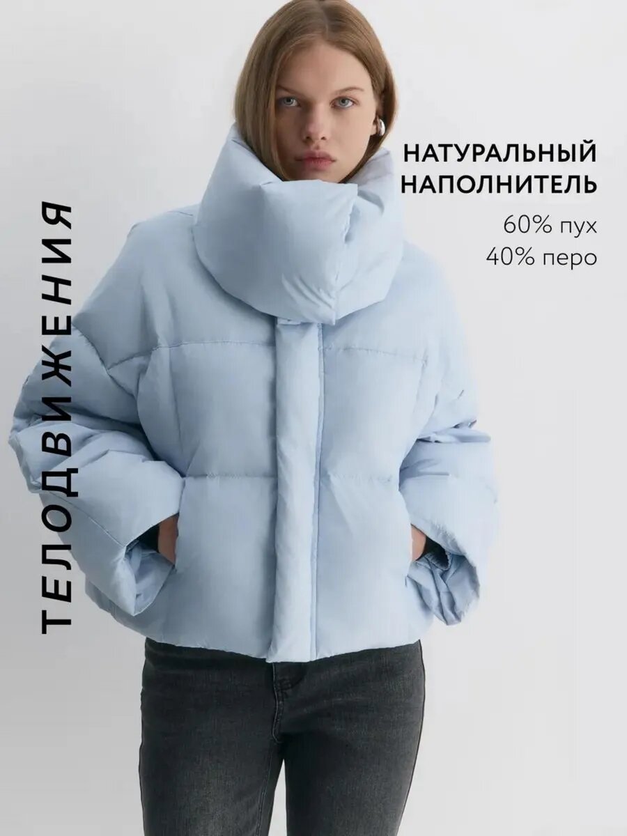 Пуховик Телодвижения зимний оверсайз короткий еврозима, воротник-стойка